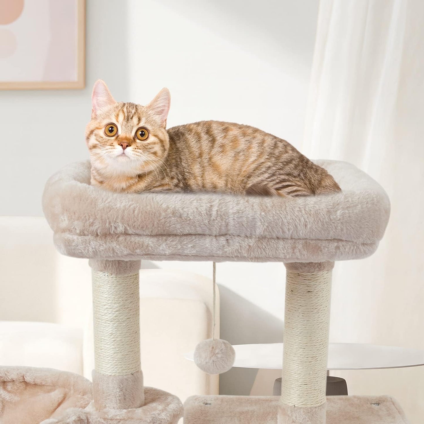 "Whisker Haven: the Ultimate Indoor Playground for Playful and Contented Cats!"